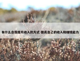 有什么自我提升收入的方式 提高自己的收入和赚钱能力