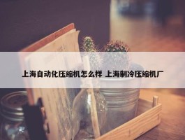 上海自动化压缩机怎么样 上海制冷压缩机厂