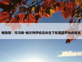 晚旗报：托马斯-帕尔特伊应该会在下轮英超开始前痊愈