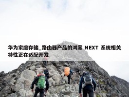 华为家庭存储_路由器产品的鸿蒙 NEXT 系统相关特性正在适配开发