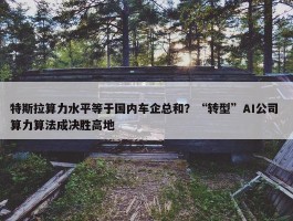 特斯拉算力水平等于国内车企总和？“转型”AI公司 算力算法成决胜高地