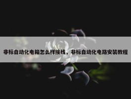 非标自动化电箱怎么样接线，非标自动化电路安装教程