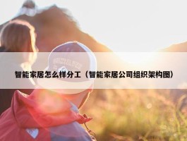 智能家居怎么样分工（智能家居公司组织架构图）