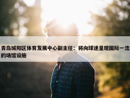 青岛城阳区体育发展中心副主任：将向球迷呈现国际一流的场馆设施