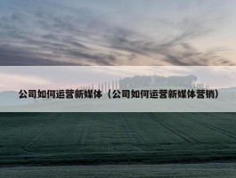 公司如何运营新媒体（公司如何运营新媒体营销）