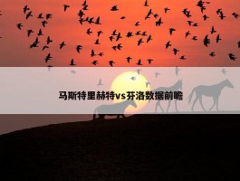 马斯特里赫特vs芬洛数据前瞻