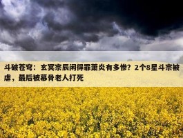 斗破苍穹：玄冥宗辰闲得罪萧炎有多惨？2个8星斗宗被虐，最后被慕骨老人打死