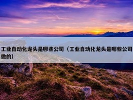 工业自动化龙头是哪些公司（工业自动化龙头是哪些公司做的）