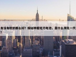 有没有吹的那么好？探秘神盾短刀电池，靠什么领先一代？