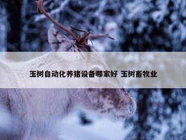 玉树自动化养猪设备哪家好 玉树畜牧业