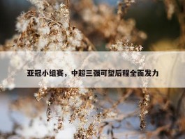 亚冠小组赛，中超三强可望后程全面发力