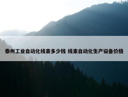 泰州工业自动化线束多少钱 线束自动化生产设备价格