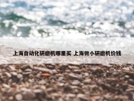 上海自动化研磨机哪里买 上海微小研磨机价钱