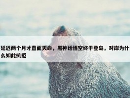 延迟两个月才直面天命，黑神话悟空终于登岛，对岸为什么如此抗拒