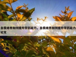 自我修养如何提升学历能力，自我修养如何提升学历能力论文