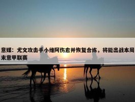 意媒：尤文攻击手小维阿伤愈并恢复合练，将能出战本周末意甲联赛