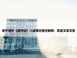 老外感叹《黑神话》八戒模仿悟空剧情：真是又喜又悲