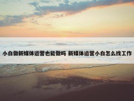 小白做新媒体运营也能做吗 新媒体运营小白怎么找工作