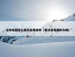 没有电脑怎么提升自我修养（我没有电脑咋办呢）