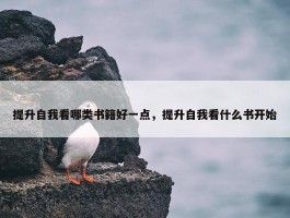 提升自我看哪类书籍好一点，提升自我看什么书开始