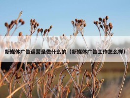 新媒体广告运营是做什么的（新媒体广告工作怎么样）