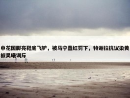 申花国脚亮鞋底飞铲，被马宁直红罚下，特谢拉抗议染黄被吴曦训斥