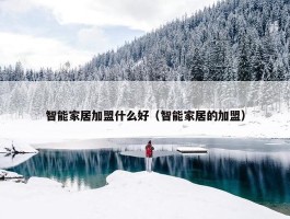 智能家居加盟什么好（智能家居的加盟）