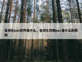 自动化pas软件是什么，自动化控制pac是什么的简称