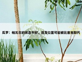 瓜罗：帕瓦尔的状态不好，首发位置可能被比塞克取代