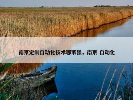 南京定制自动化技术哪家强，南京 自动化