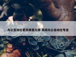 办公自动化更高级是几级 高级办公自动化专业