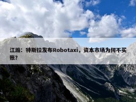 江瀚：特斯拉发布Robotaxi，资本市场为何不买账？