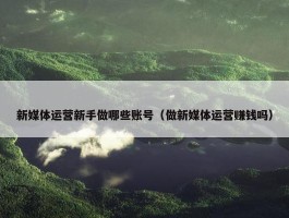 新媒体运营新手做哪些账号（做新媒体运营赚钱吗）