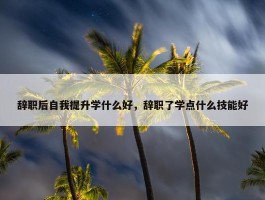 辞职后自我提升学什么好，辞职了学点什么技能好