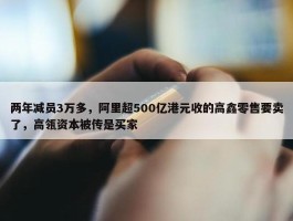 两年减员3万多，阿里超500亿港元收的高鑫零售要卖了，高瓴资本被传是买家