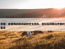 意媒：库普梅纳斯将回到尤文养伤，目标在对阵拉齐奥时复出