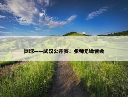 网球——武汉公开赛：张帅无缘晋级