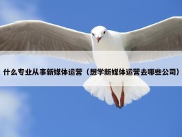 什么专业从事新媒体运营（想学新媒体运营去哪些公司）