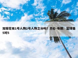 双探花有1号人物2号人物之分吗？杰伦-布朗：篮球是5对5