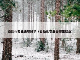 自动化专业去哪好学（自动化专业去哪里就业）