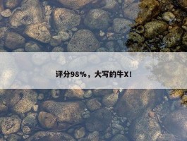 评分98%，大写的牛X！