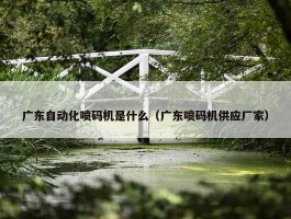 广东自动化喷码机是什么（广东喷码机供应厂家）