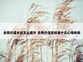 自我价值太低怎么提升 自我价值感低是什么心理疾病