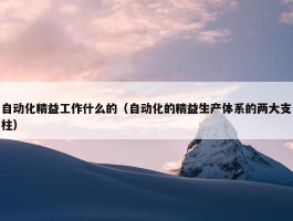 自动化精益工作什么的（自动化的精益生产体系的两大支柱）