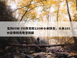 支持65W PD快充和120W小米快充，小米165W自带线充电宝拆解