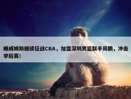 曝威姆斯继续征战CBA，加盟深圳男篮联手周鹏，冲击季后赛！