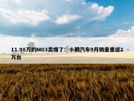 11.98万的M03卖爆了：小鹏汽车9月销量重返2万台