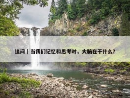 追问｜当我们记忆和思考时，大脑在干什么？