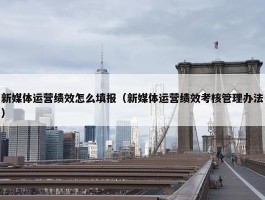 新媒体运营绩效怎么填报（新媒体运营绩效考核管理办法）