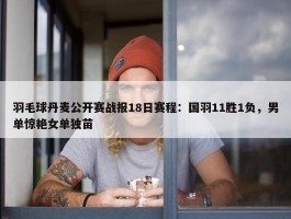 羽毛球丹麦公开赛战报18日赛程：国羽11胜1负，男单惊艳女单独苗